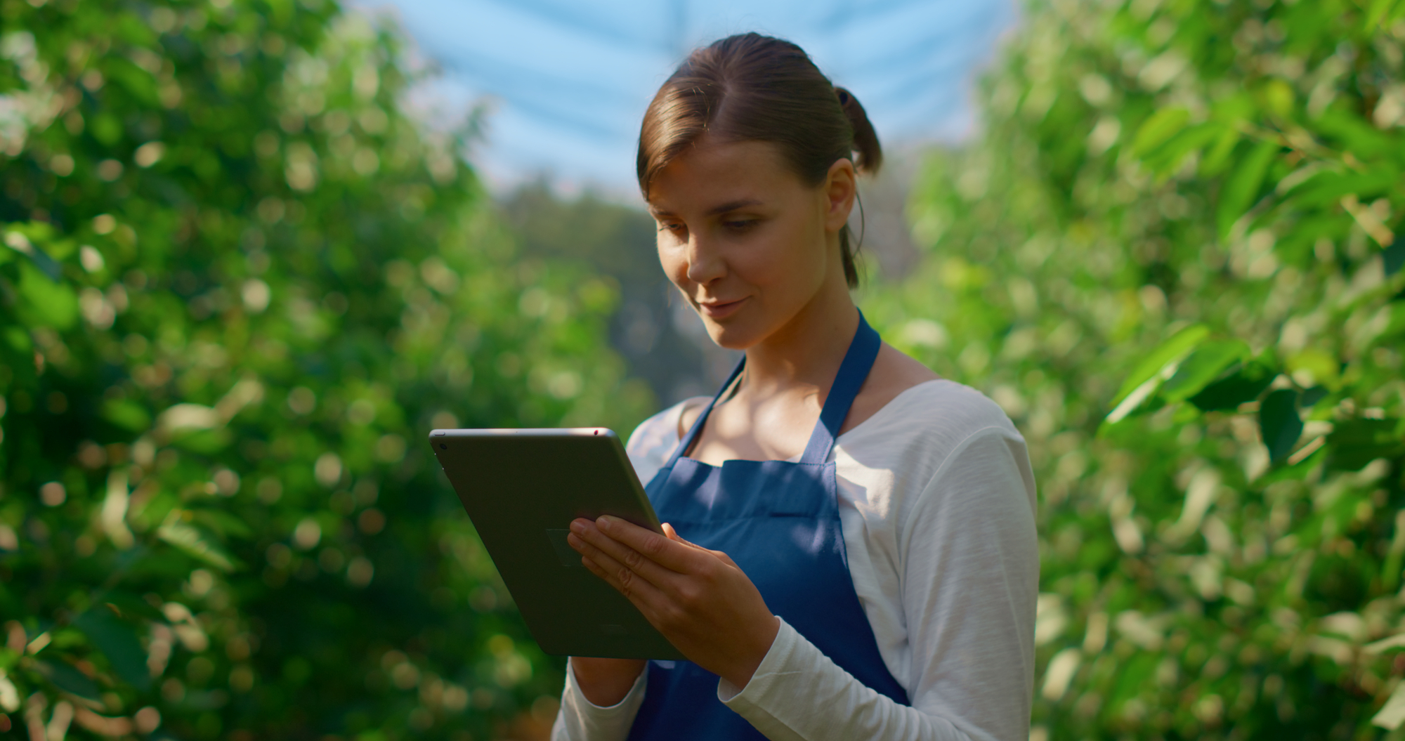Agriculture Business owner on tablet agri-finance concept